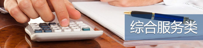 综合服务类